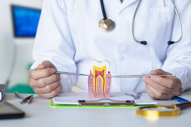 Best Dental Abscess Treatment in Arroyo Grande, CA
